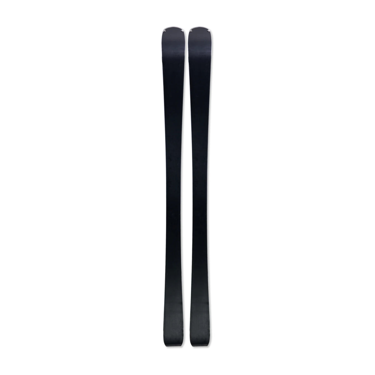Fischer The Curv GT 76 + RSW10 PR